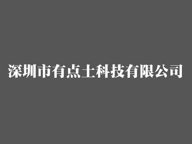 技术驱新，赋能未来 深圳市有点土科技网络产品开发的创新实践